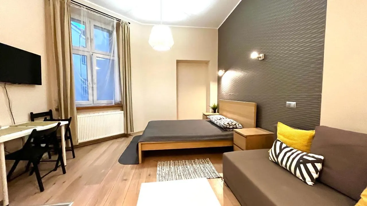 Apartment Spacious Studio Krakow