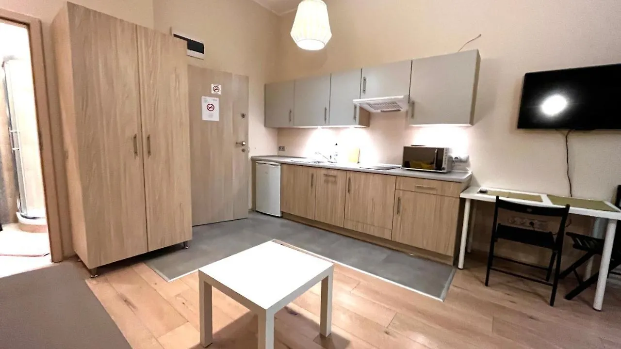 Spacious Studio Krakow Daire